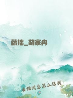 藏拙