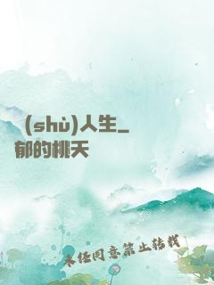 藝術(shù)人生