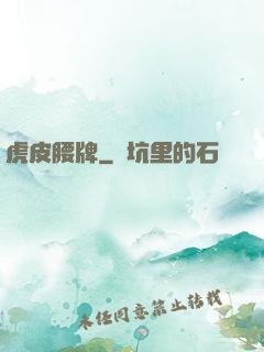 虎皮腰牌