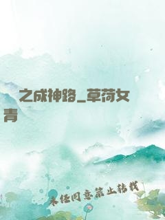 虛擬之成神路