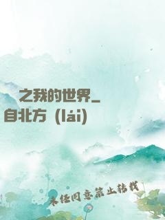 虛擬之我的世界