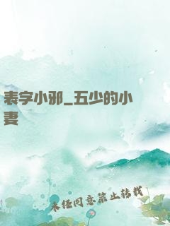 表字小邪