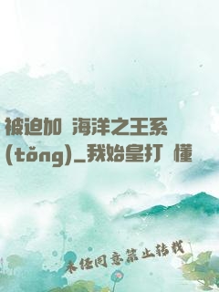 被迫加載海洋之王系統(tǒng)