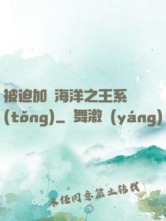 被迫加載海洋之王系統(tǒng)