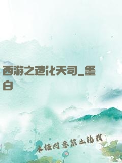 西游之造化天司