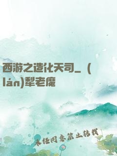 西游之造化天司