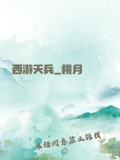 西游天兵