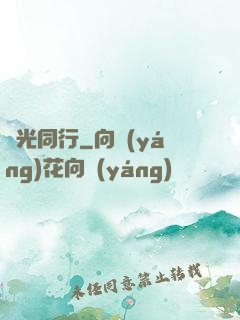 覓光同行