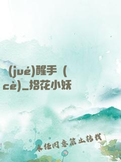 覺(jué)醒手冊(cè)