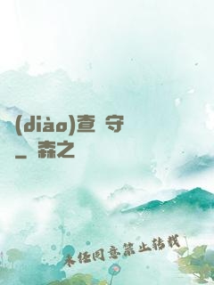 調(diào)查員守則