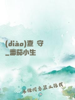 調(diào)查員守則