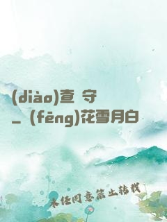 調(diào)查員守則