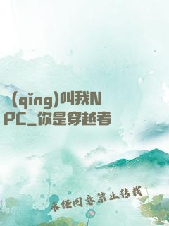 請(qǐng)叫我NPC