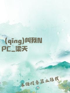 請(qǐng)叫我NPC