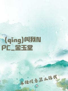 請(qǐng)叫我NPC