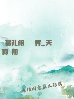 諸葛孔明縱橫異界