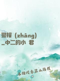 警探長(zhǎng)
