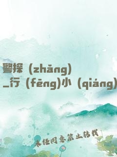 警探長(zhǎng)