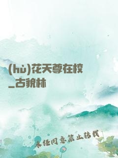 護(hù)花天尊在校園