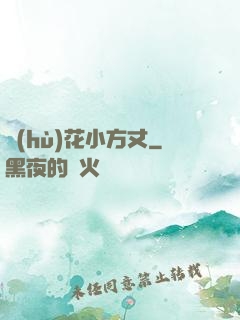 護(hù)花小方丈
