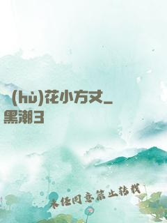 護(hù)花小方丈