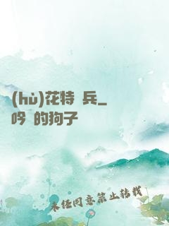 護(hù)花特種兵