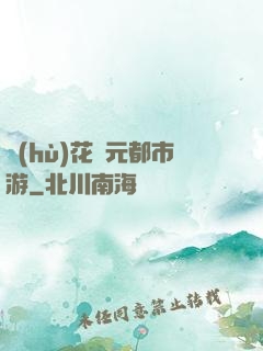 護(hù)花狀元都市游