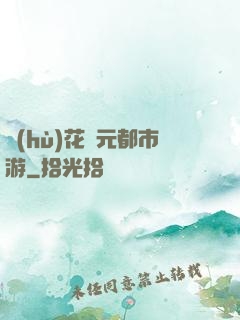 護(hù)花狀元都市游