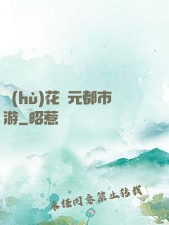 護(hù)花狀元都市游