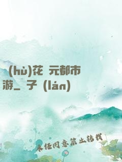 護(hù)花狀元都市游