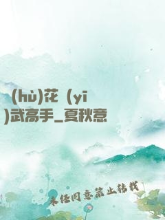 護(hù)花醫(yī)武高手