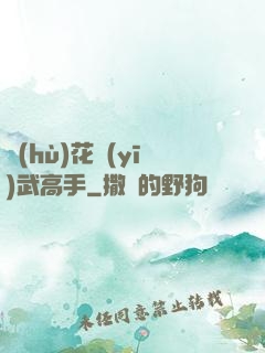 護(hù)花醫(yī)武高手