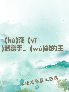 護(hù)花醫(yī)武高手
