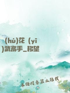 護(hù)花醫(yī)武高手