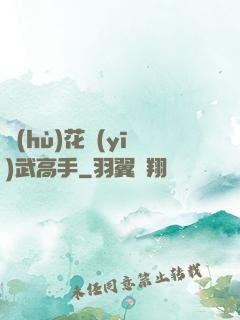 護(hù)花醫(yī)武高手