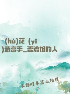 護(hù)花醫(yī)武高手