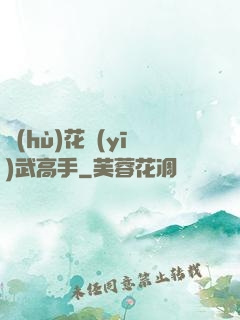 護(hù)花醫(yī)武高手