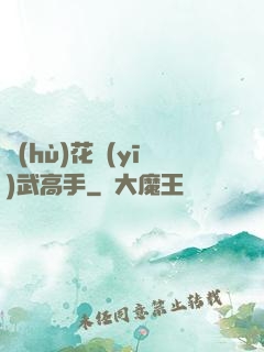 護(hù)花醫(yī)武高手
