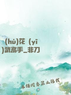 護(hù)花醫(yī)武高手