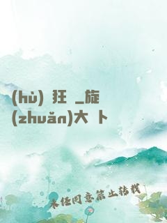 護(hù)龍狂梟