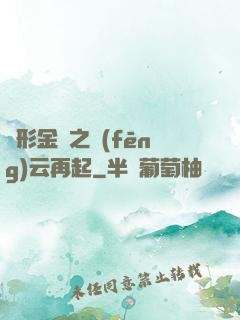 變形金剛之風(fēng)云再起
