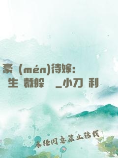 豪門(mén)待嫁：雙生總裁躲貓貓