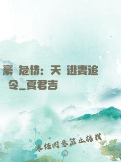 豪門危情：天價逃妻追緝令