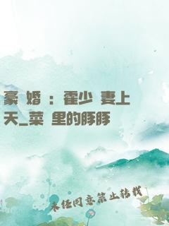 豪門婚寵：霍少寵妻上天
