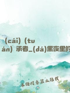 財(cái)團(tuán)繼承者