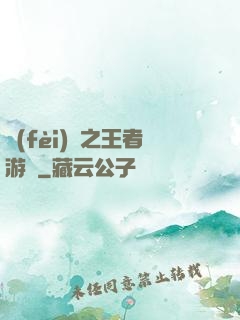 費(fèi)倫之王者游俠