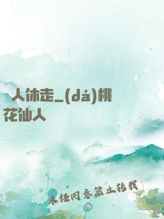 賊人休走