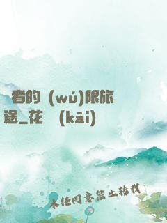 賢者的無(wú)限旅途