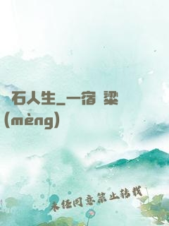 賭石人生