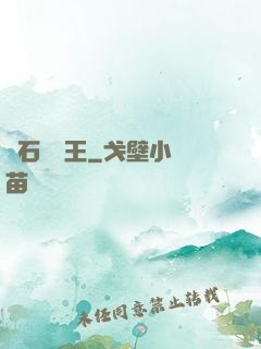 賭石鑒寶王